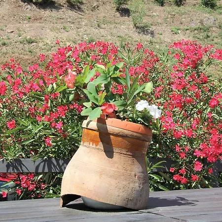 Red Sant'elia Hotel